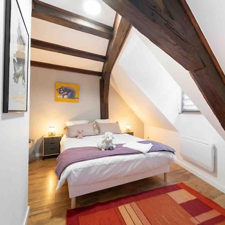 Les Lionceaux, 120M2 A Colmar, Place De Parking Gratuite Екстериор снимка