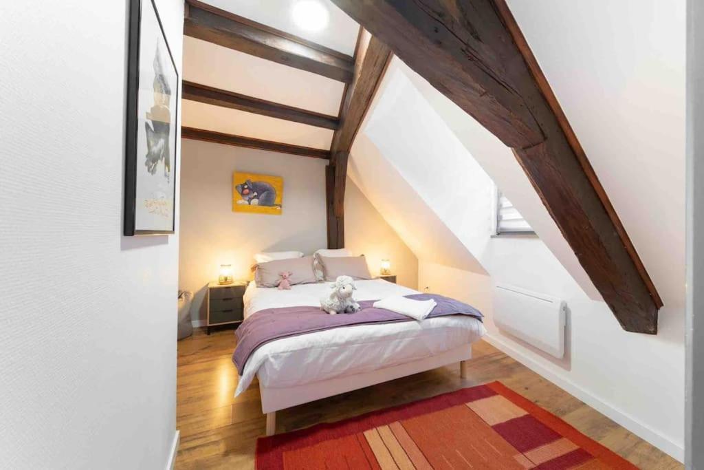 Les Lionceaux, 120M2 A Colmar, Place De Parking Gratuite Екстериор снимка