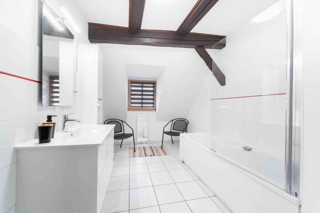Les Lionceaux, 120M2 A Colmar, Place De Parking Gratuite Екстериор снимка