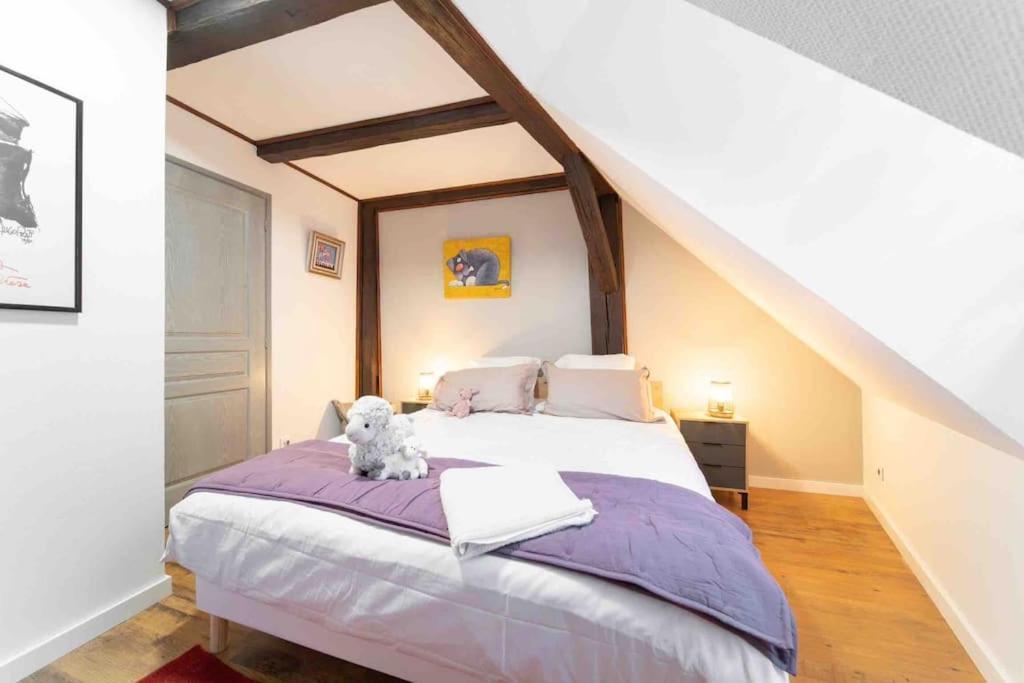 Les Lionceaux, 120M2 A Colmar, Place De Parking Gratuite Екстериор снимка