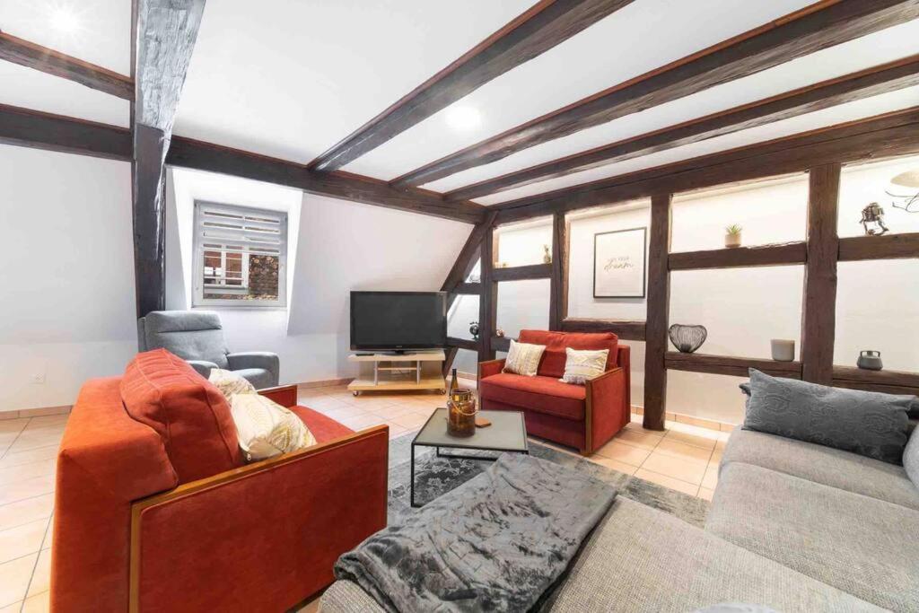 Les Lionceaux, 120M2 A Colmar, Place De Parking Gratuite Екстериор снимка