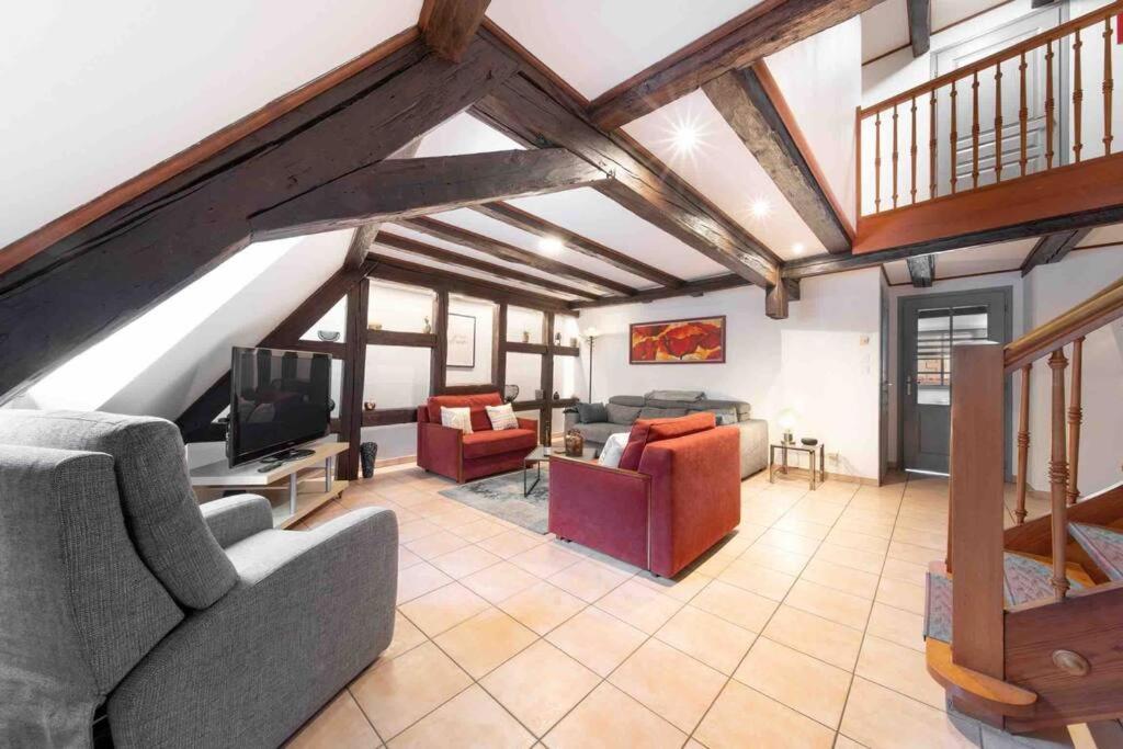 Les Lionceaux, 120M2 A Colmar, Place De Parking Gratuite Екстериор снимка