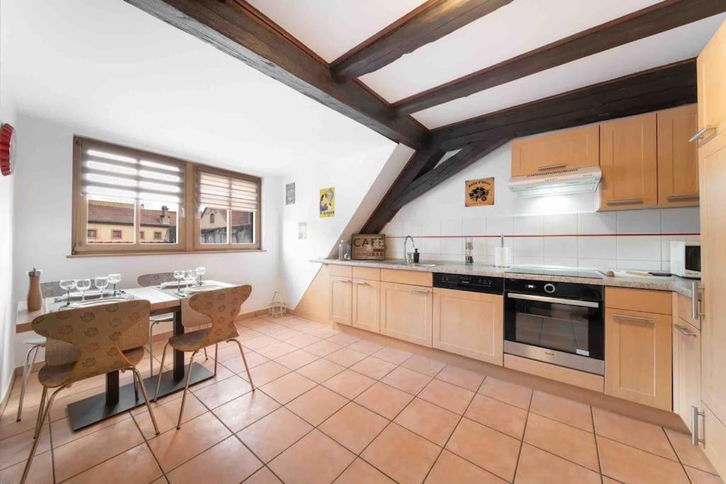 Les Lionceaux, 120M2 A Colmar, Place De Parking Gratuite Екстериор снимка