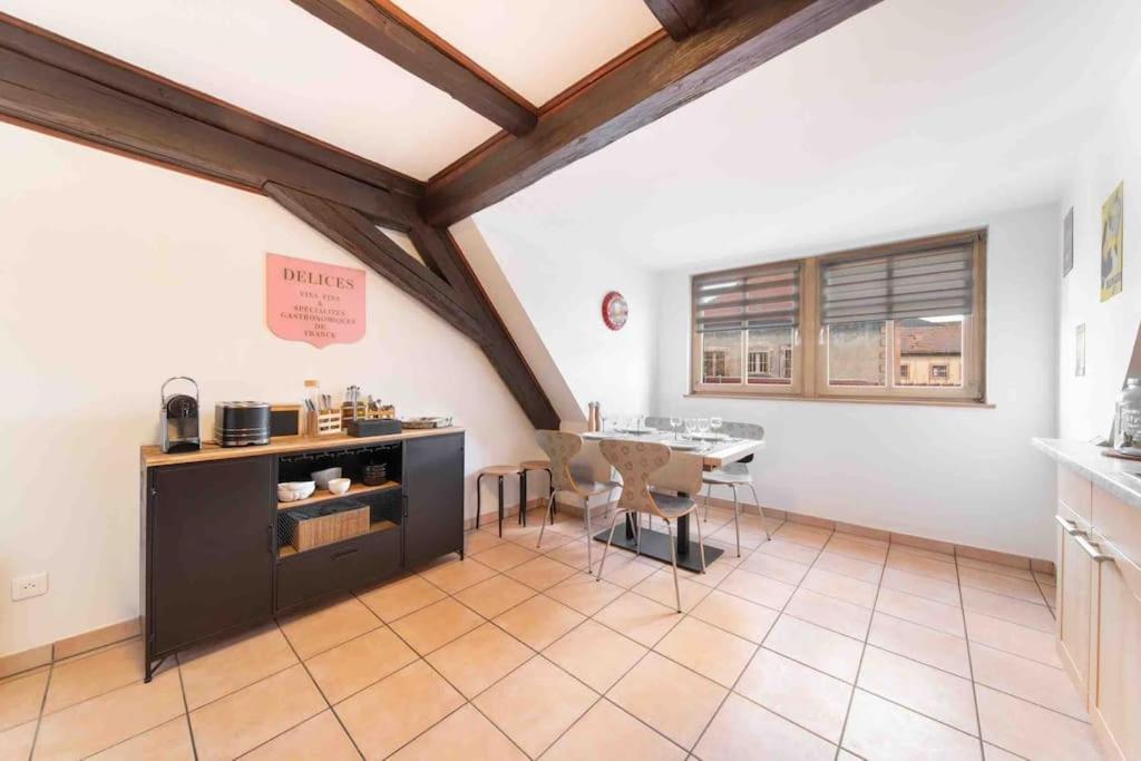 Les Lionceaux, 120M2 A Colmar, Place De Parking Gratuite Екстериор снимка