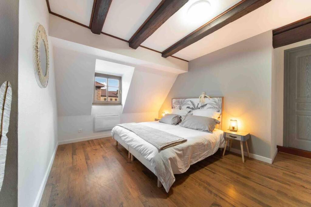 Les Lionceaux, 120M2 A Colmar, Place De Parking Gratuite Екстериор снимка