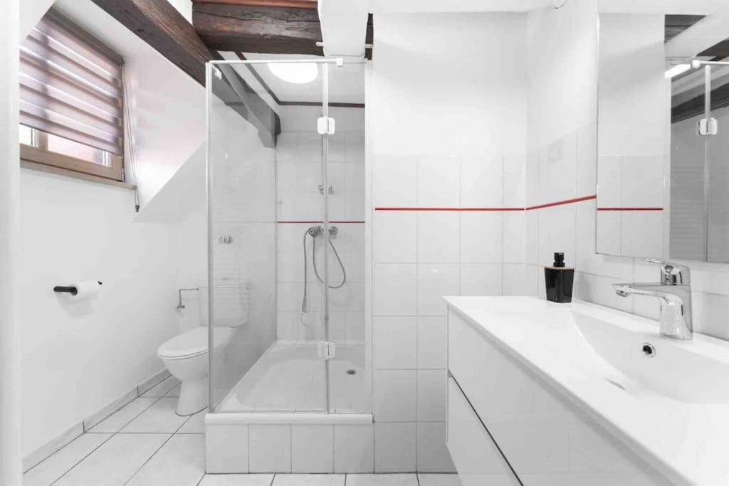 Les Lionceaux, 120M2 A Colmar, Place De Parking Gratuite Екстериор снимка